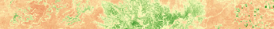 Landsat Colorado NDVI