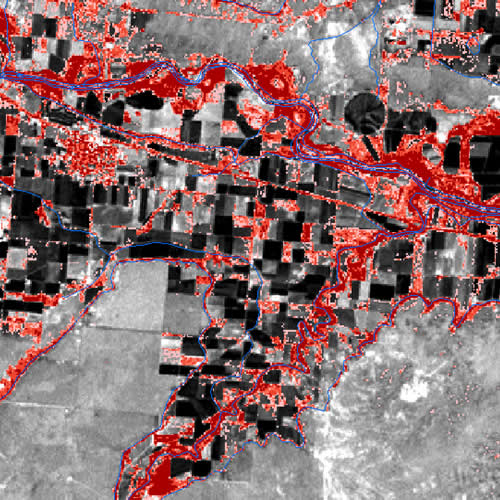 Remotely Sensed Tamarisk in Colorado